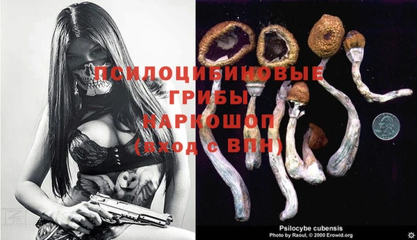 герыч Аркадак