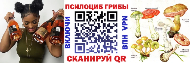 Галлюциногенные грибы ЛСД  цена наркотик  Новоаннинский 