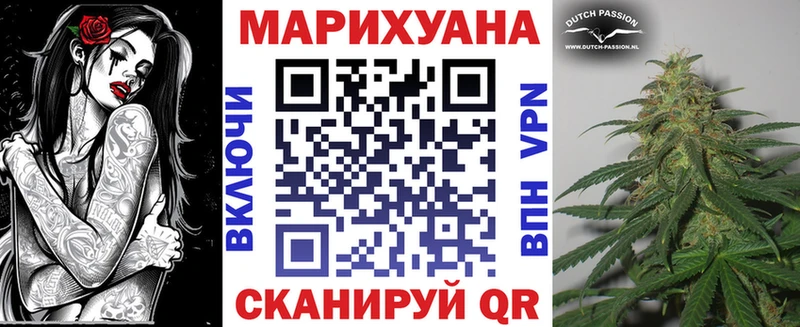 где можно купить MEGA зеркало Шишки марихуана сатива Новоаннинский